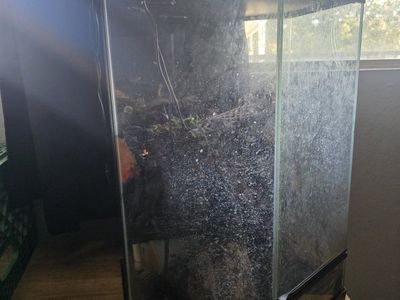 Exo Terra Glass Terrarium Bioactive Reptile Amphibian Invertebrate Enclosure