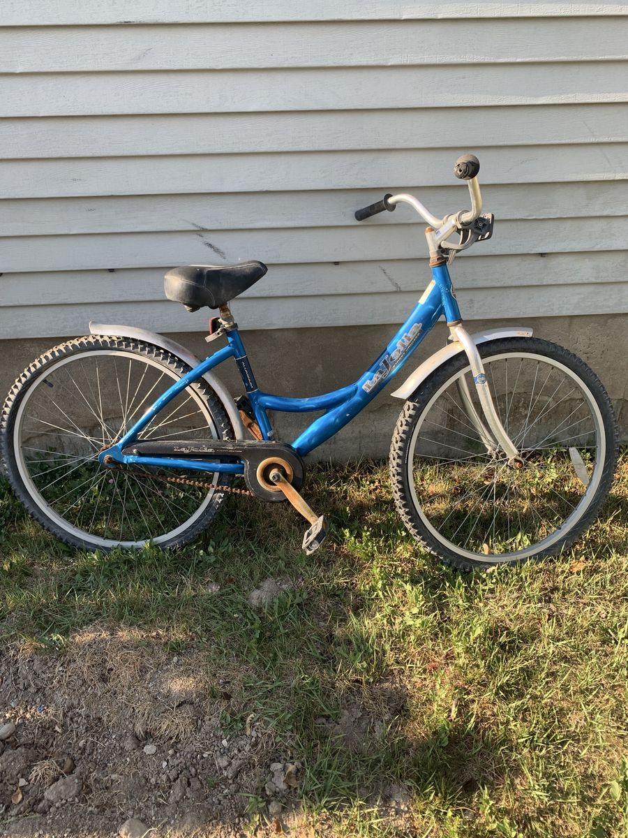 Beach Cruiser in need of love.