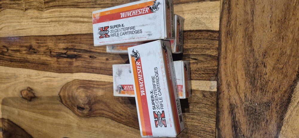 22-250 REMINGTON 55 grain