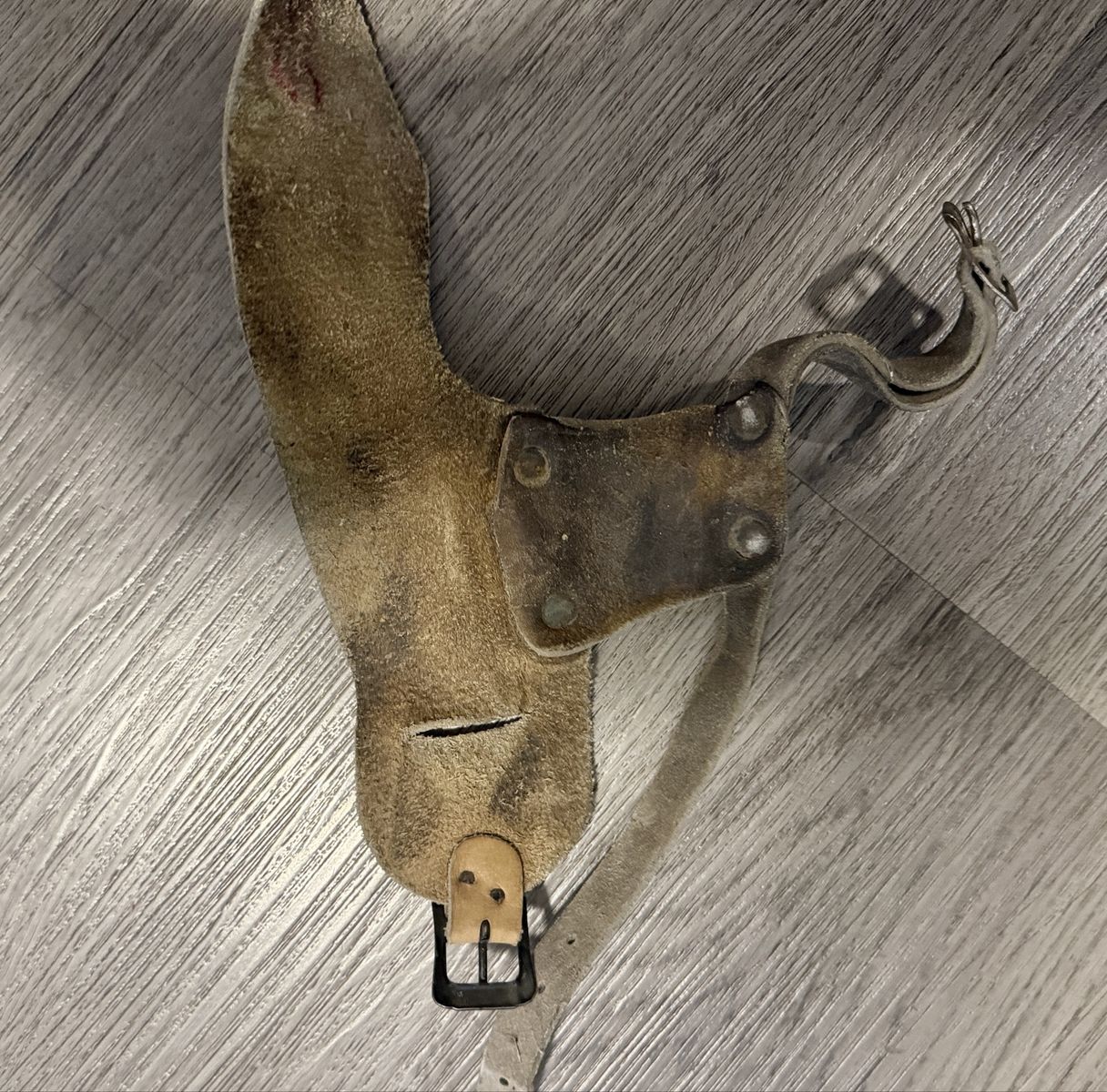 Main image 6