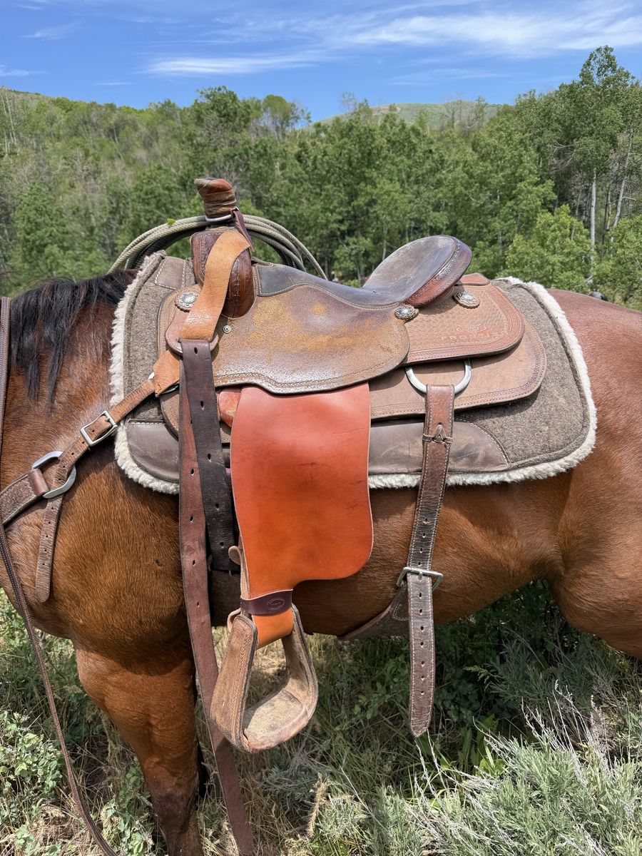 15 in Stray Star Team Roping Saddle