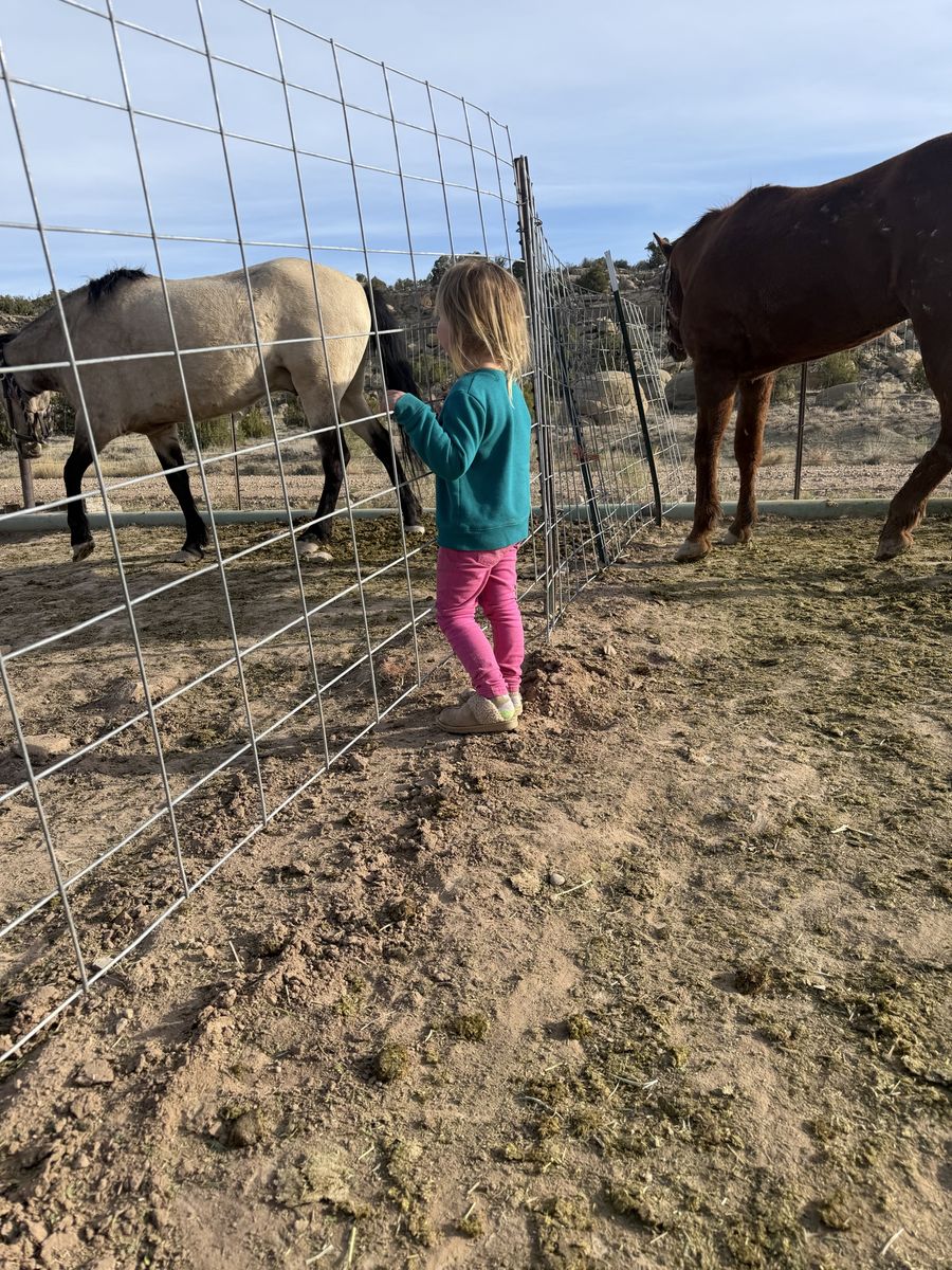 ISO unwanted farm animals