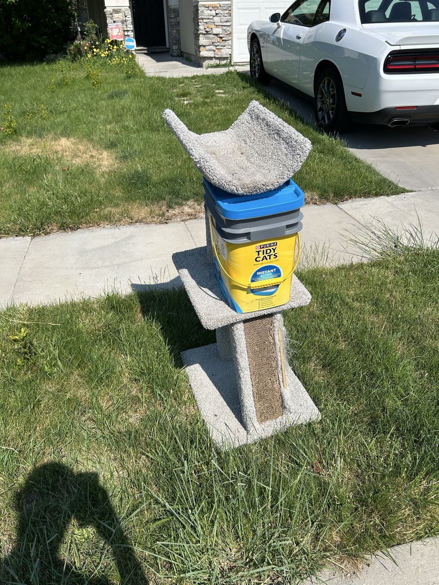 Cat tree and Litter