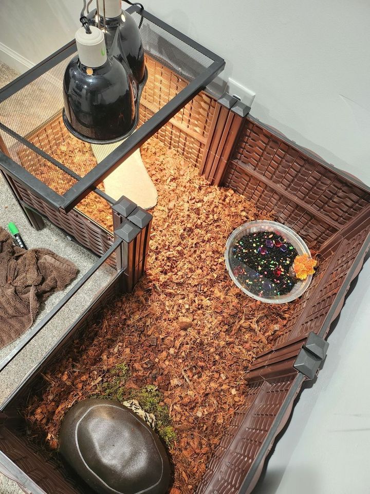 Main image 3