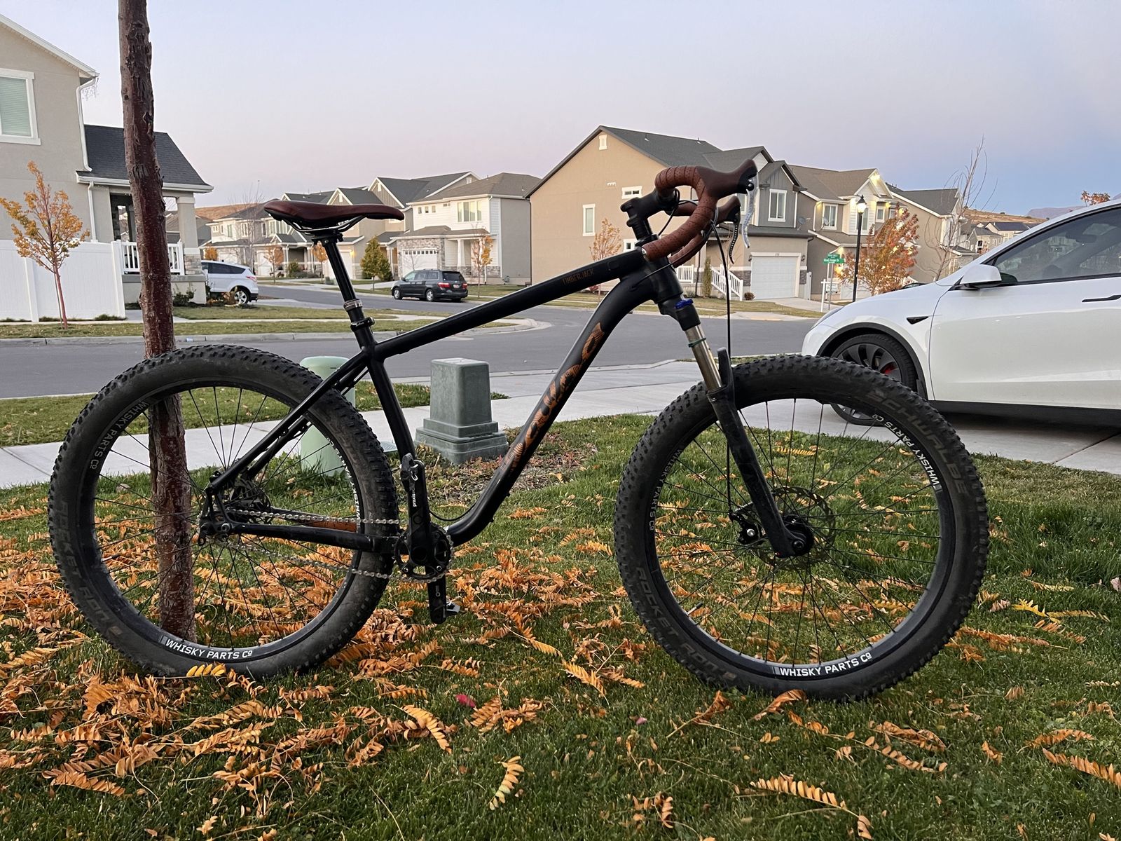 Salsa Timberjack Single Speed