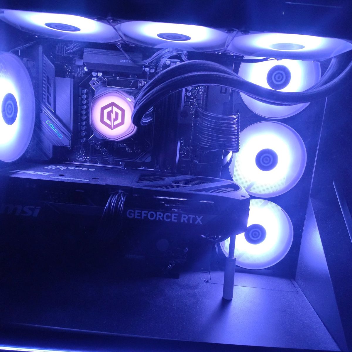 amd ryzen 79800x3d