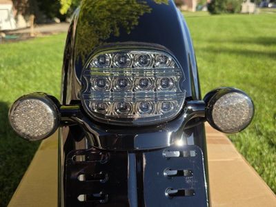 Harley-Davidson OEM Rear Fender + LED Tail Light Assembly – Fits 2014–2023 Road Glide / Touring Mode
