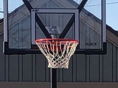 Lifetime Shatter Proof Adjustable Basketball Hoop