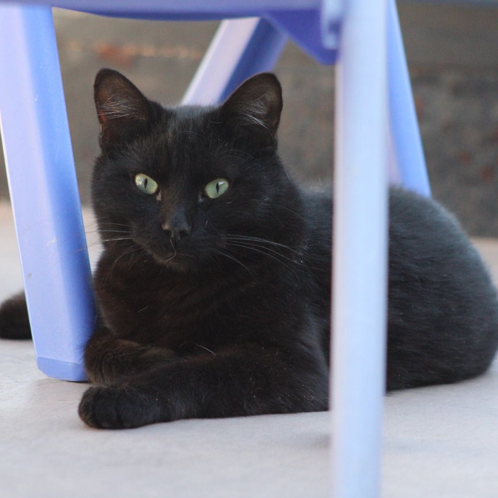 Hello my name is Murray