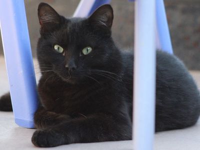 Hello my name is Murray