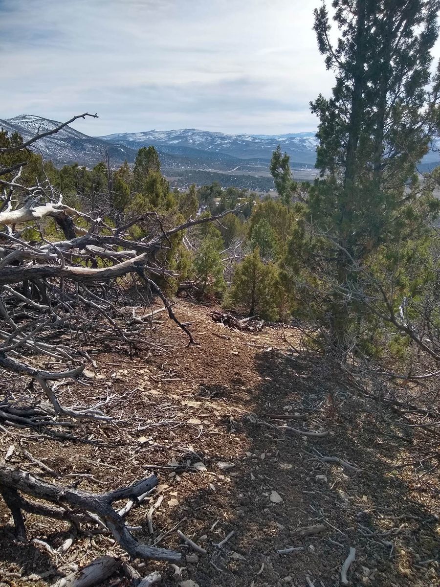 Panorama Woods 10 acre+-;