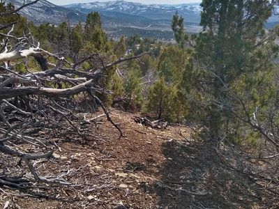 Panorama Woods 10 acre+-;