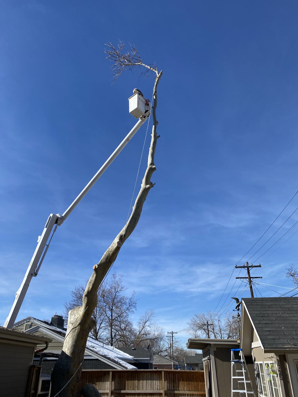 Tree Maintenance | Emergency Clean up | Tree services