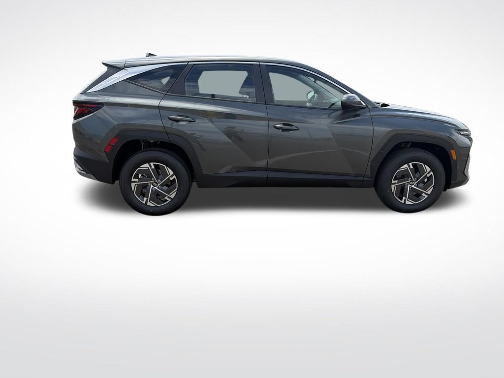 Main image 7