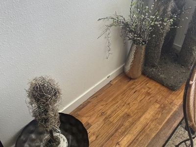 Home Decor