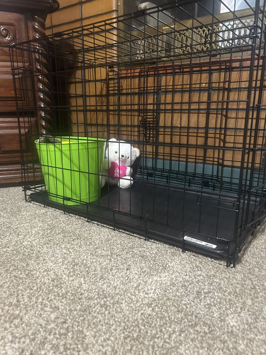 Dog Crate