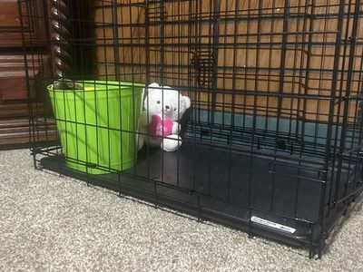 Dog Crate