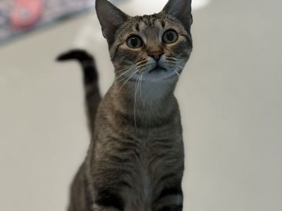 Hello my name is Shylo
