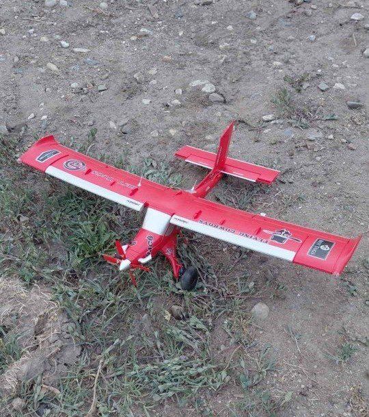 Eflite micro draco 800mm