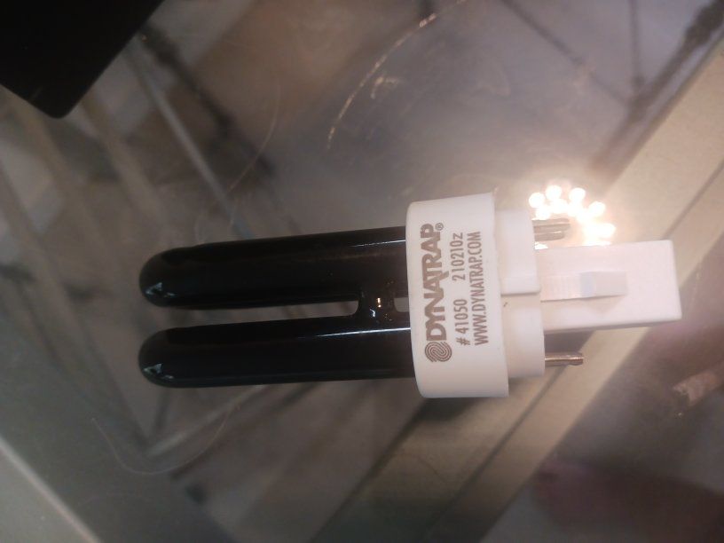 New Dynatrap Flourescent UV Bulb