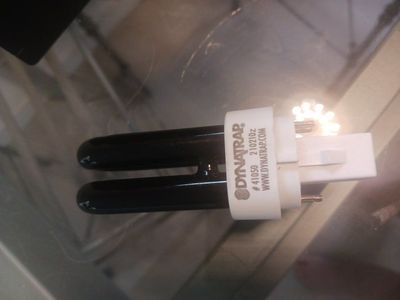 New Dynatrap Flourescent UV Bulb