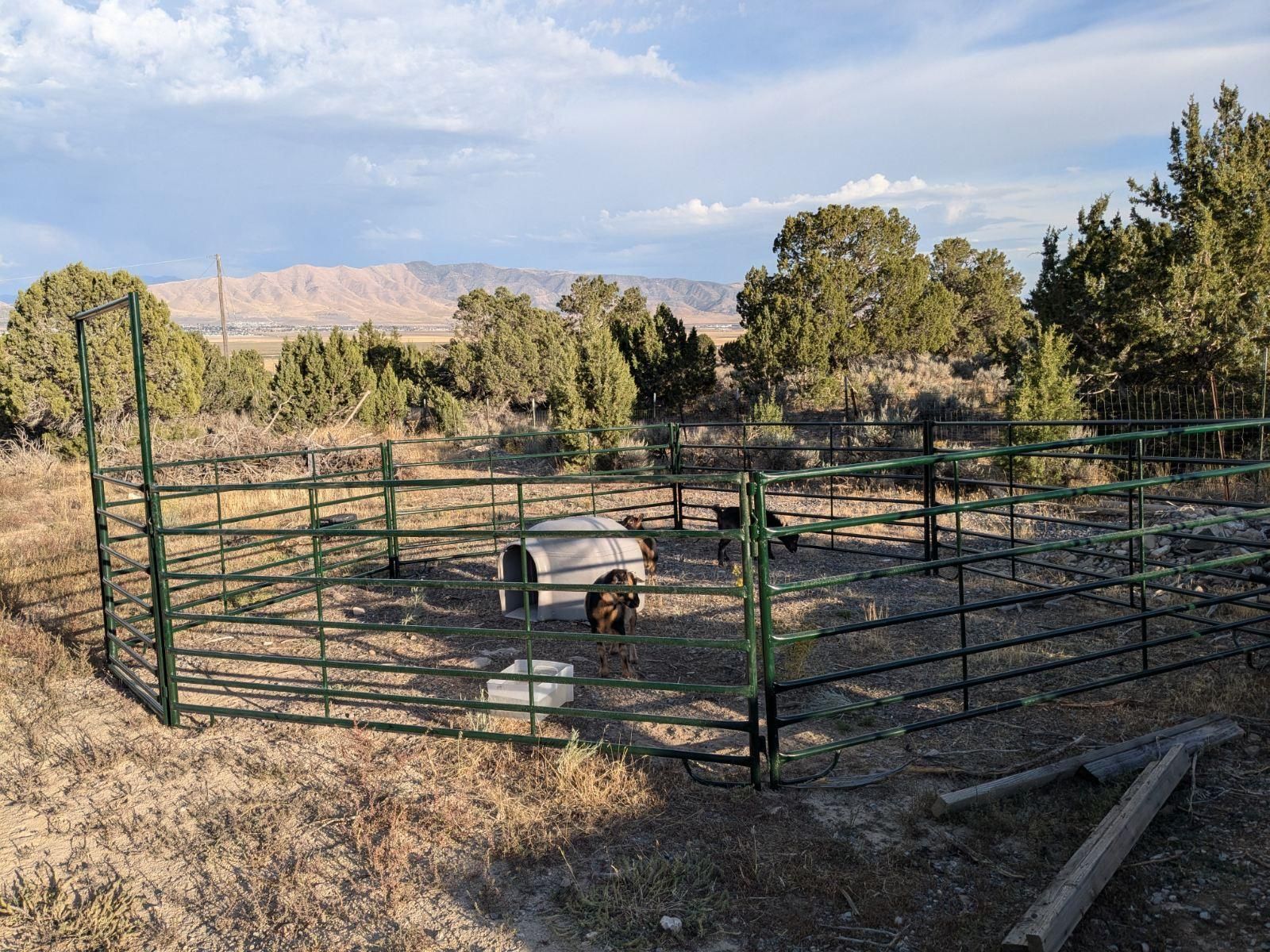 Main image 6
