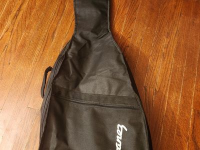 Ibanez soft guitar bag. Perfect shape. Fits a standard sized acoutisic guitar.