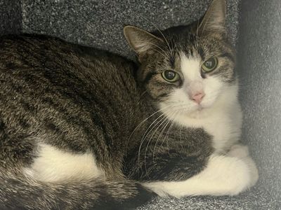 Hello my name is Mary Lou