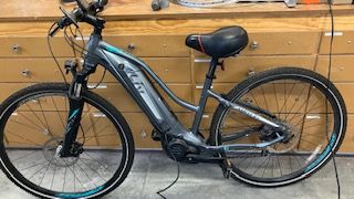 LIV (Giant) Women's E-bike