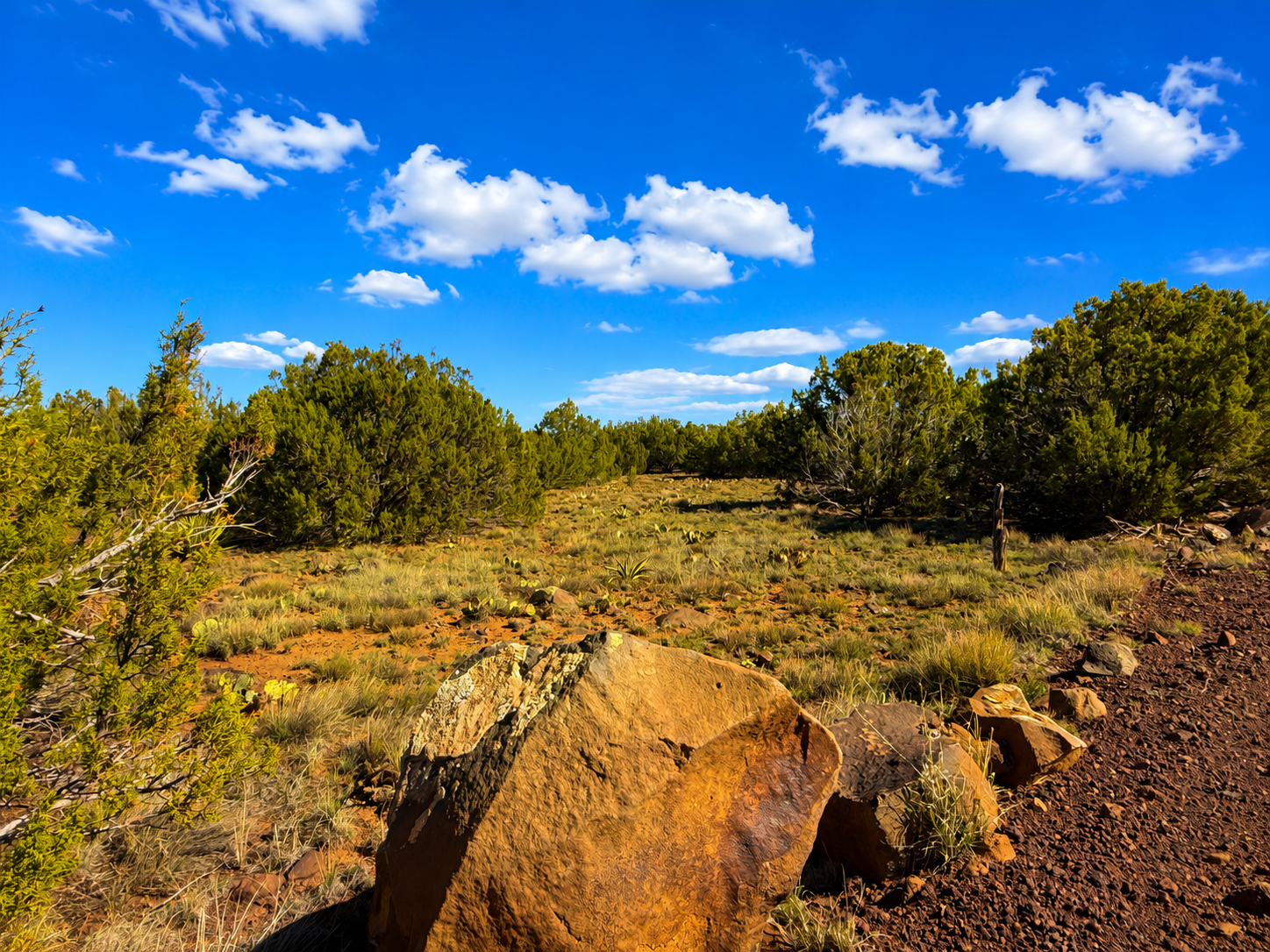 10 Acres in Concho, AZ. Build Your Future, Own Your Terms.
