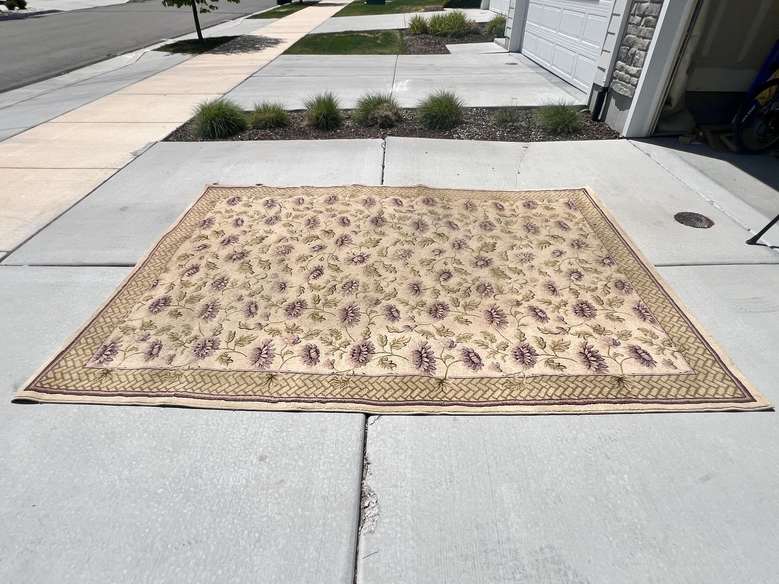 Area Rug 10'8" X 7"6"