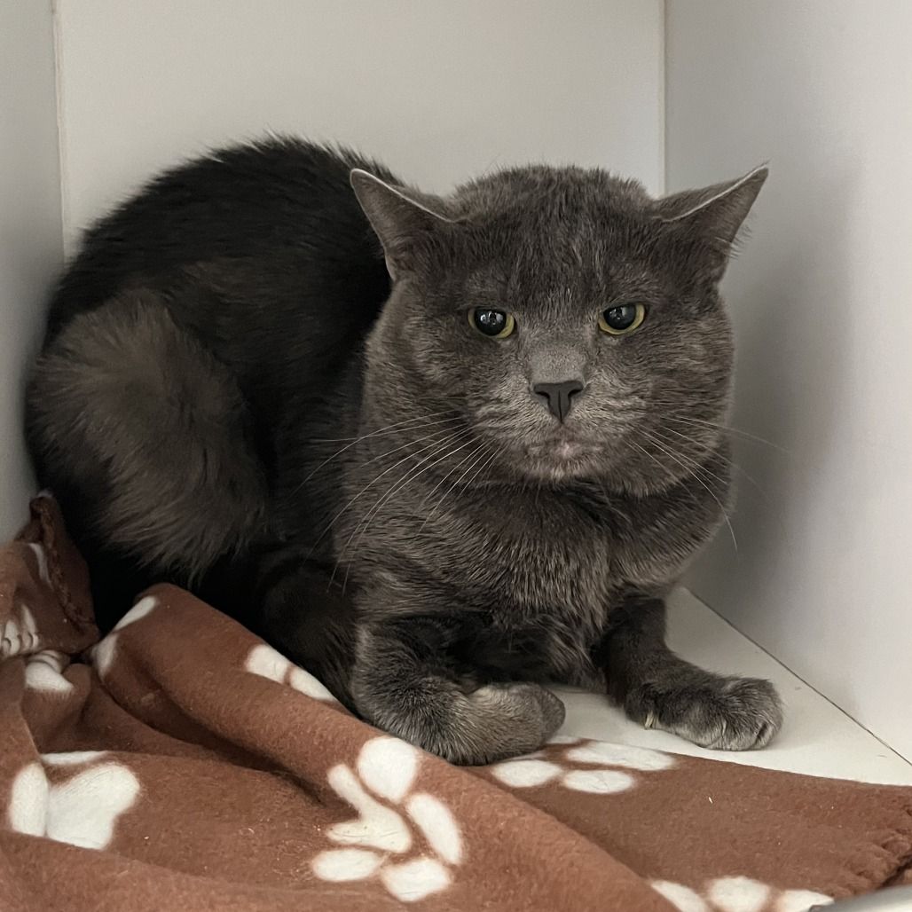 Hello my name is Poseidon