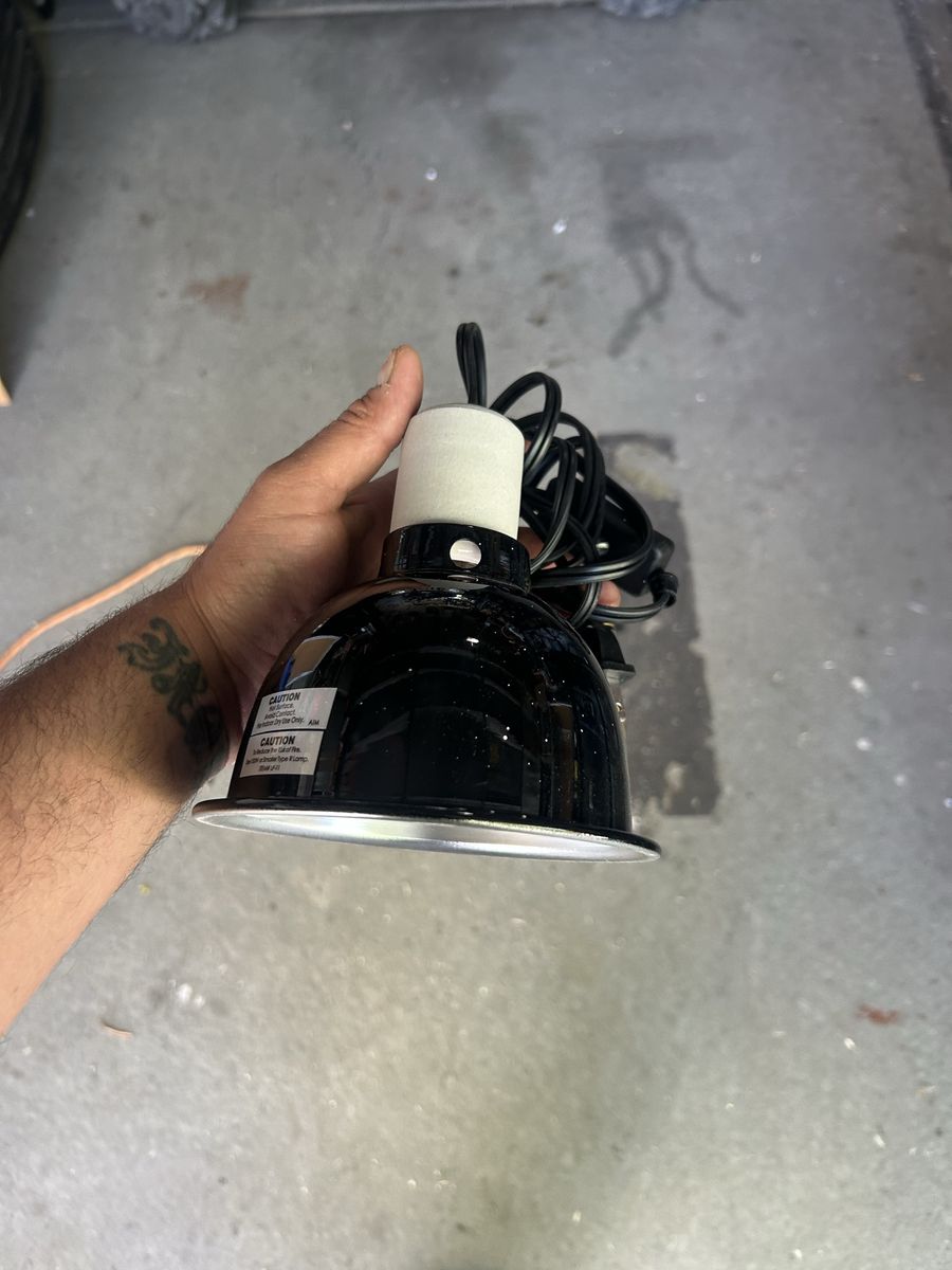 Lamp and bulb