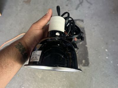 Lamp and bulb