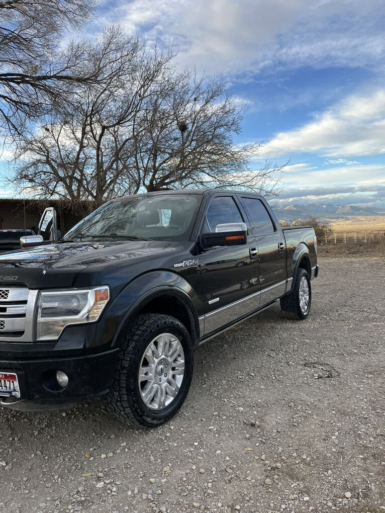 2014 FORD F150 Platinum