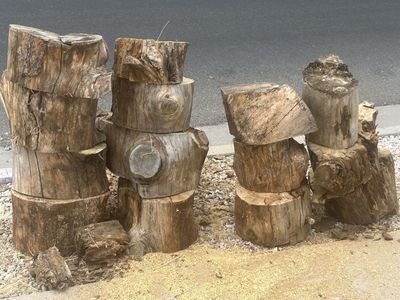 Free Firewood