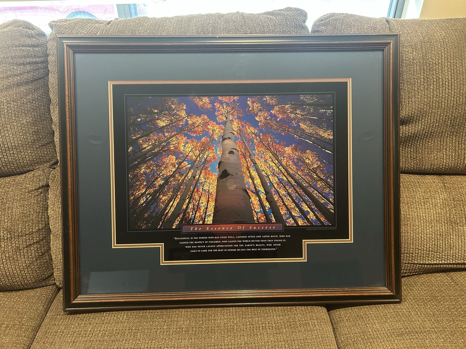 Framed Inspirational Print - The Essence of Success Aspen Trees