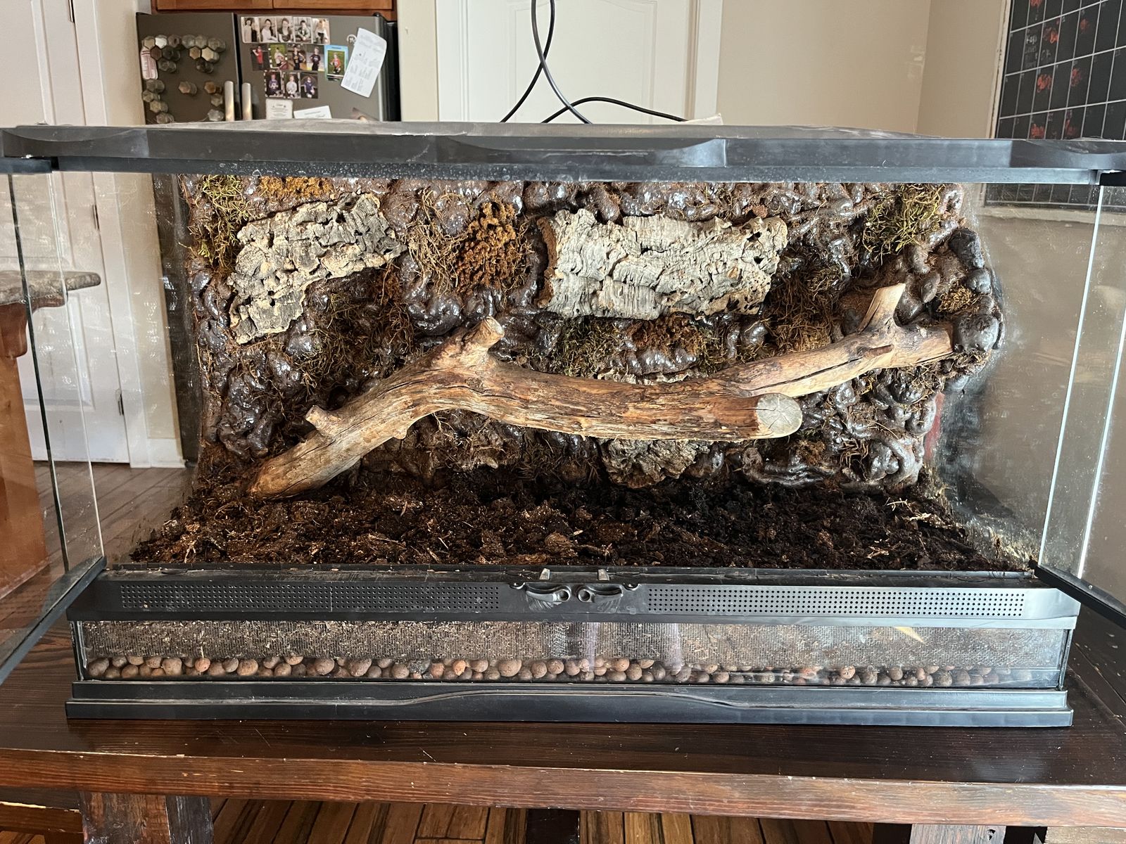30 Gallon Reptile Tank