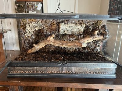 30 Gallon Reptile Tank