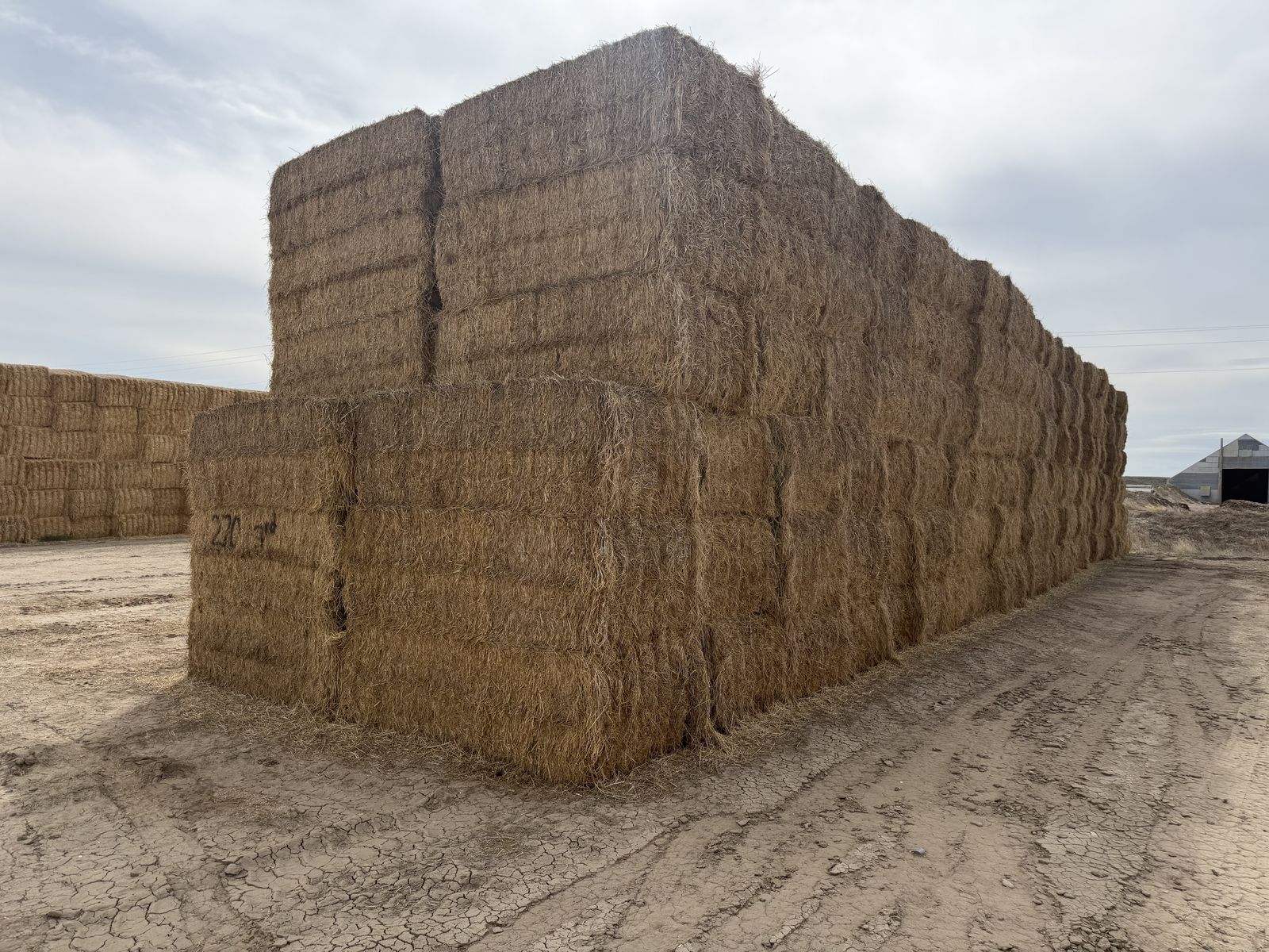 Alfalfa Hay 3rd Crop