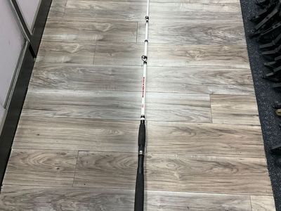 Berkley BIG GAME FISHING POLE