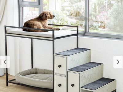 BOSSIN Multi-Level Pet Bunk Bed with Stairs and Storage Drawers Grey