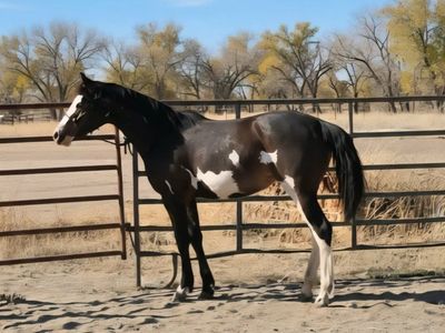 I'm sure stuck on you