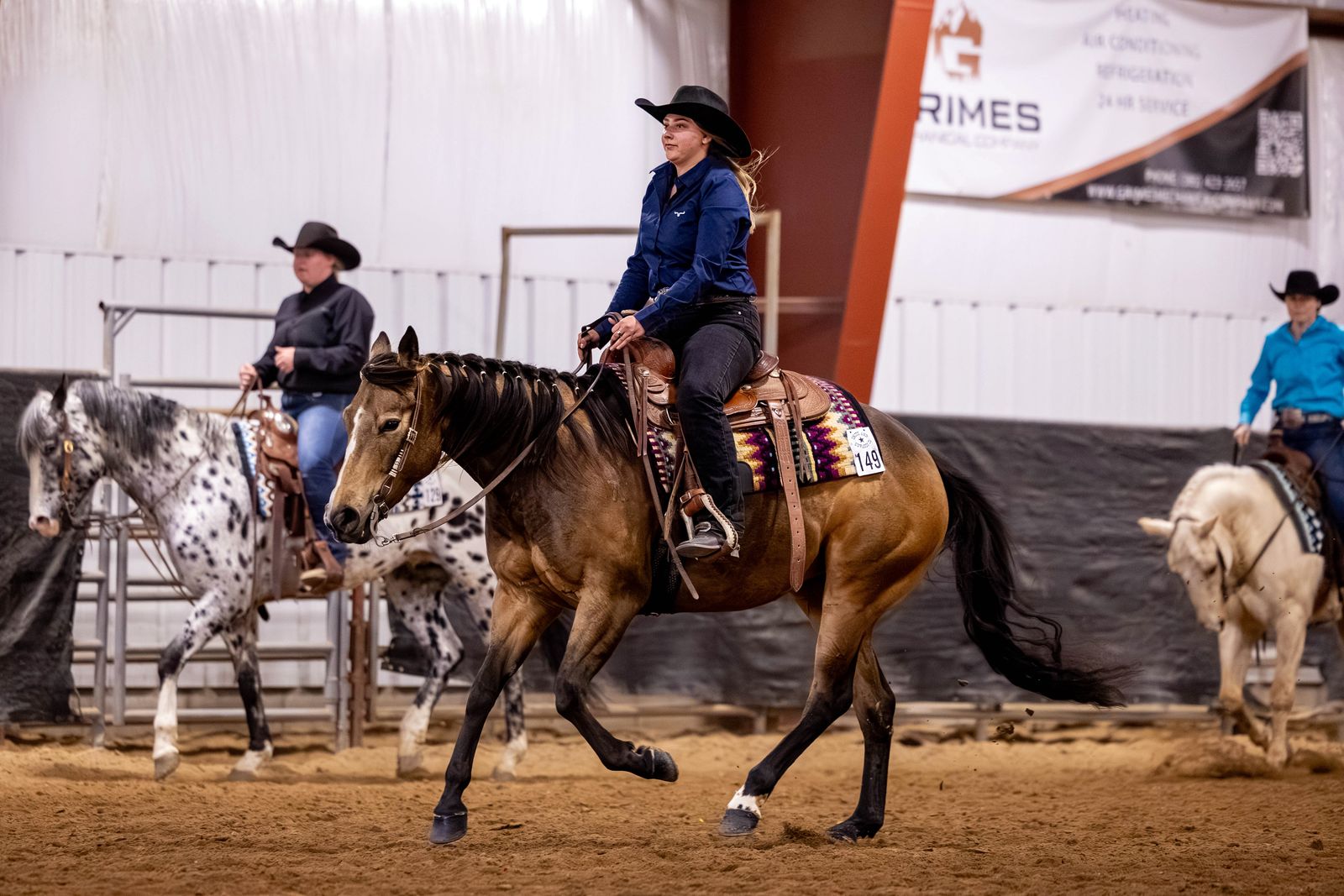 4 Year Old AQHA Mare