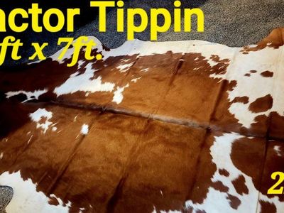 Brazilian Cowhide Rugs
