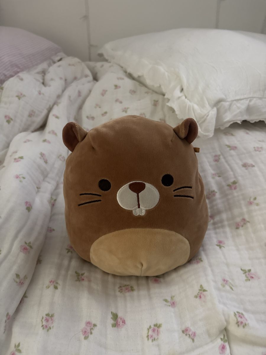 Squishmallows Brown Beaver Plush Stuffed Animal