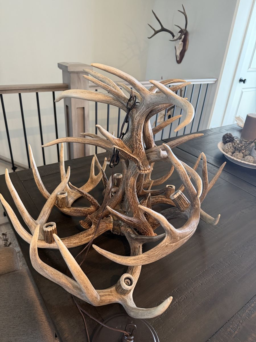 12 shed White-Tail Chandelier