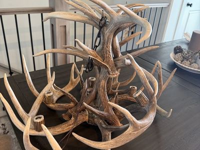 12 shed White-Tail Chandelier