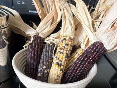 Decorative corn and wicker bowl