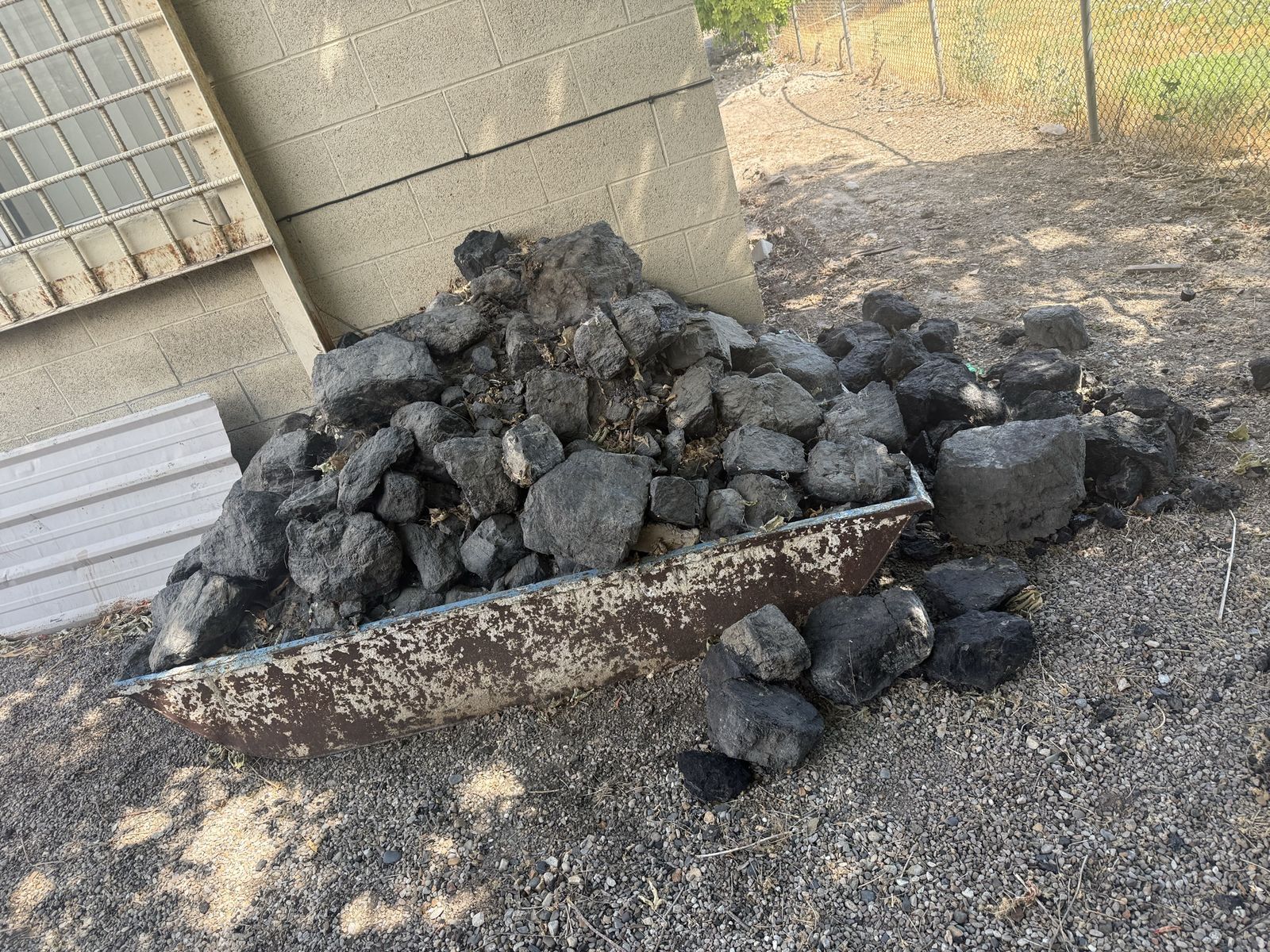 Coal